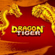 Dragon Tiger: The Adult Entertainment Phenomenon You Can’t Ignore